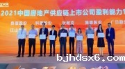 狄耐克荣登“2021中国房地产配套供应链上市公司盈利能力10强”榜单