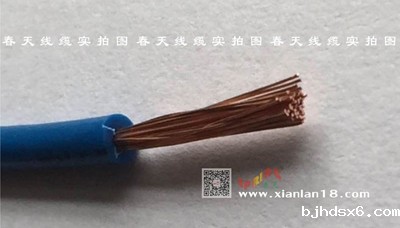 20150730025203904.jpg
